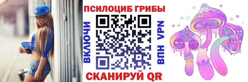 Галлюциногенные грибы Psilocybe  Купить  Аркадак 