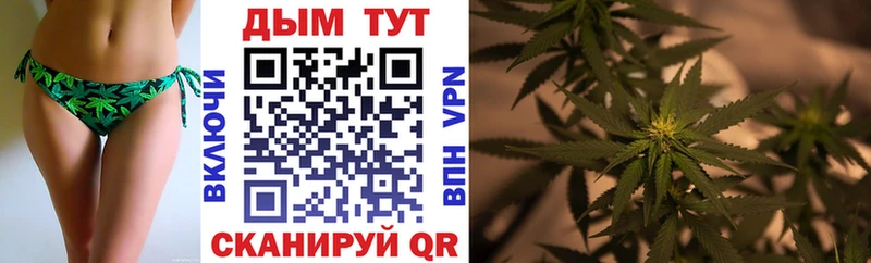 Купить  Аркадак  Каннабис индика 
